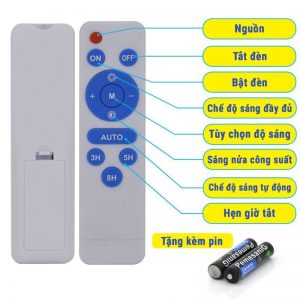 remote
